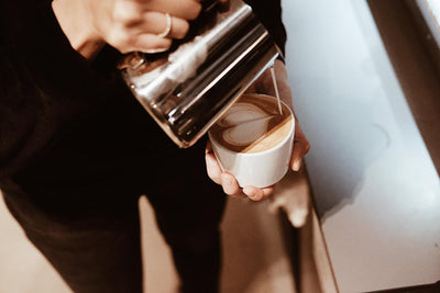 WORKSHOP BARISTA BASICS 5 Senses Coffee
